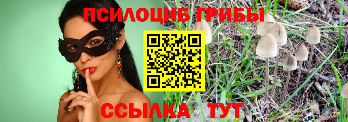 Псилоцибиновые грибы GOLDEN TEACHER  Вход с VPN  Асино 